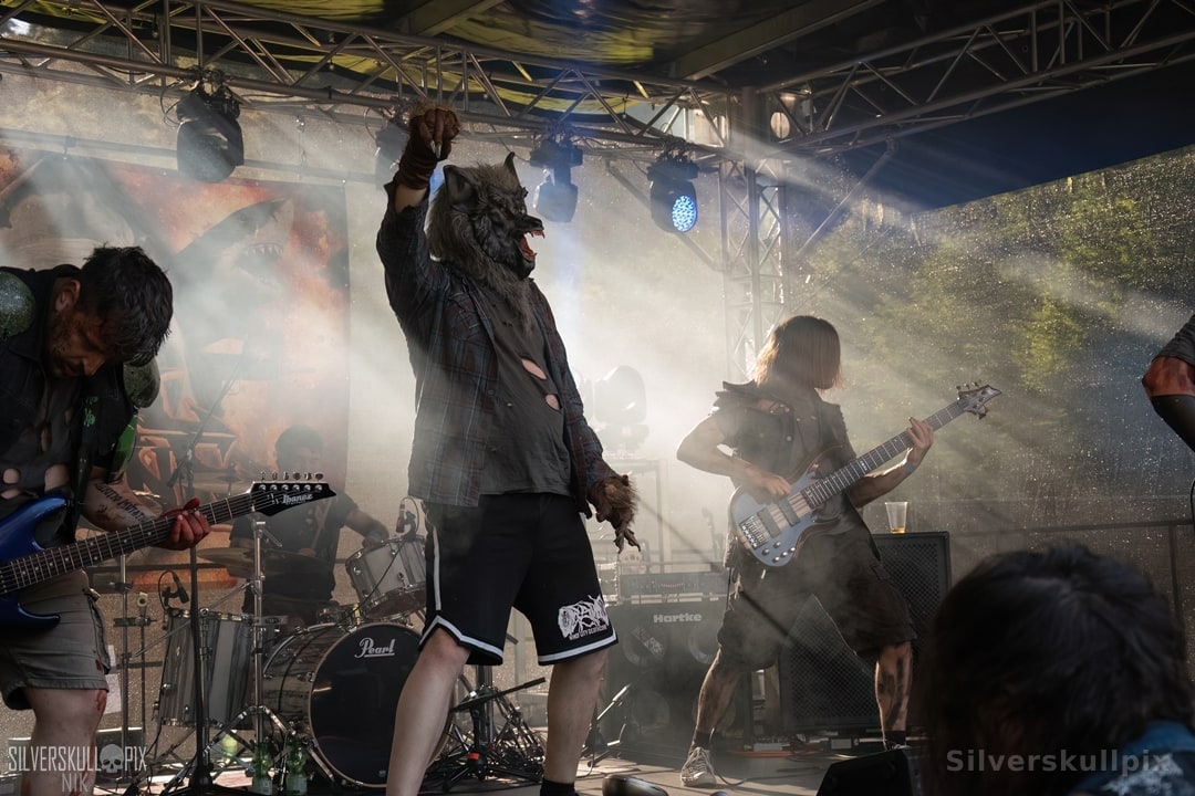 prchtlchs26DSC_6361X-low-light.jpg - Silverskullpix