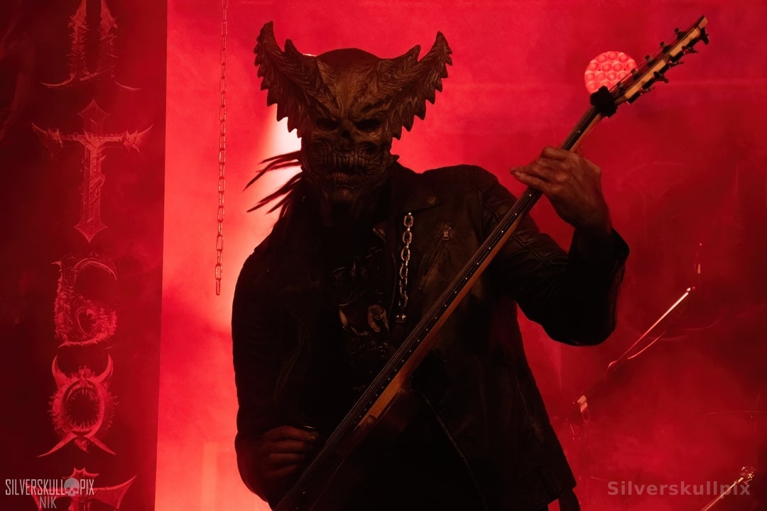 prchtlchs26DSC_8389X-low-light.jpg - Silverskullpix