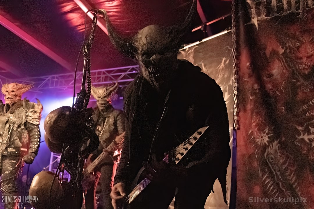 prchtlchs26DSC_9260X-low-light.jpg - Silverskullpix