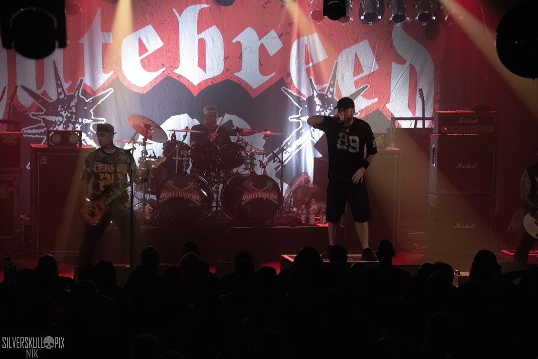 stillathreat2026DSC_2351X-low-light.jpg - Silverskullpix